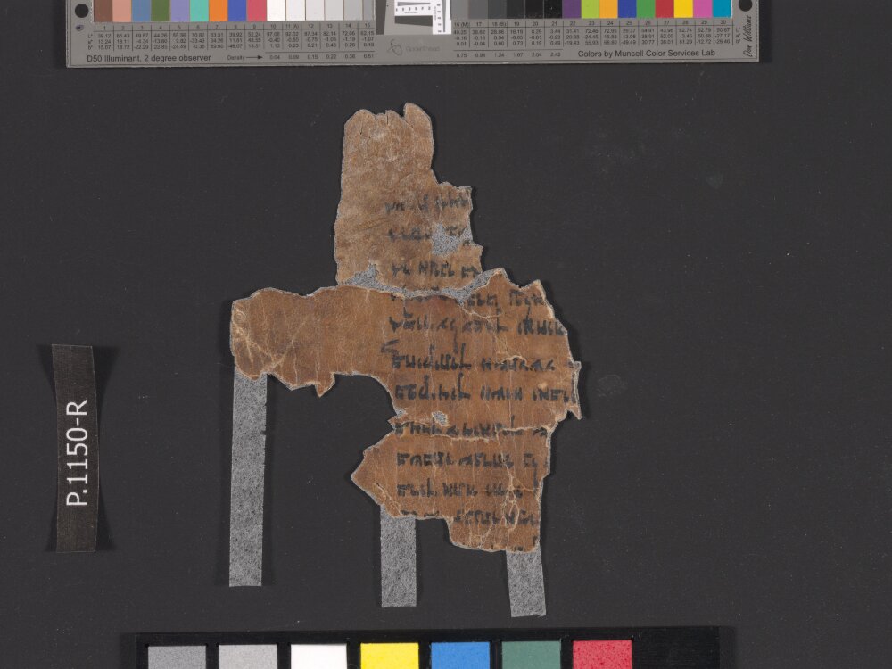 4Q Psalms h (Scan 1) showing Psalms 118:21 from Late 1st Century BC – Mid-1st Century AD found in Qumran, Cave 4, currently housed at Rockefeller Museum, Jerusalem